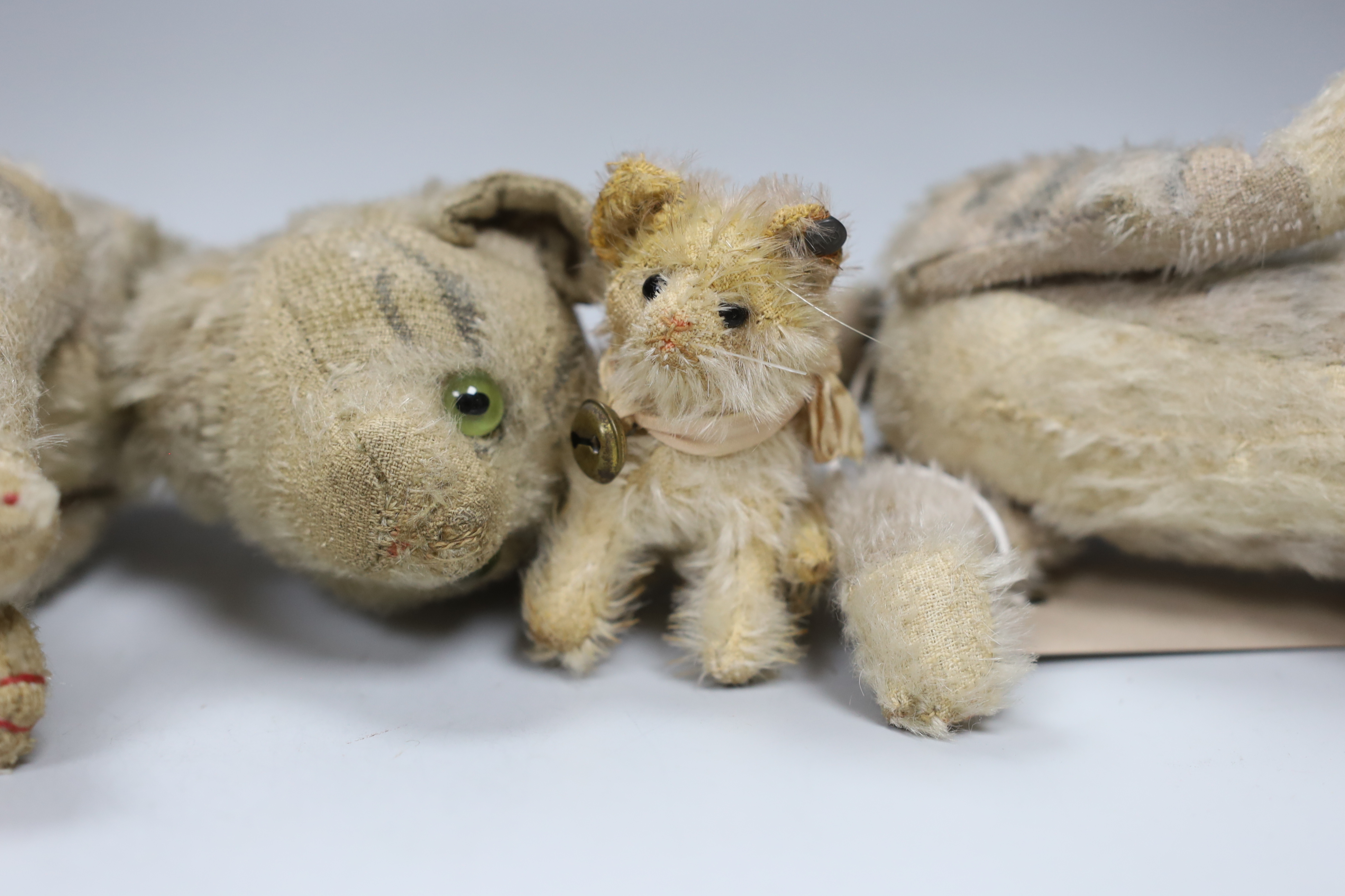 A Steiff Mini 'fluffy' cat, button, ribbon and bell, c.1925, 3in., some hair loss, and two Steiff cats, moveable heads, 1950's, with hair loss